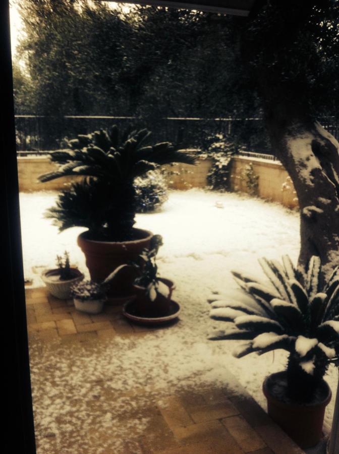 Les Fleurs B&B Bari Luaran gambar